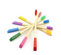 Virgin Forest Bamboo Toothbrush 6 Pack, Medium Bristles, Assorted Colours