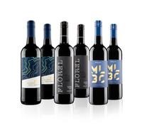 Virgin Wines - Argentinian Malbec Red Wine Case - 6 Bottles (75cl) - Premium Malbec Selection