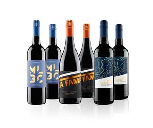 Virgin Wines - The Best Of Malbec Red Wine Case - 6 Bottles (75cl) - Rich & Velvety Malbecs