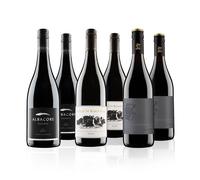 Virgin Wines The Best Of Shiraz Red Wine Case 6 Bottles (75cl) in White Virgin Wines White