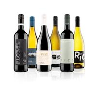 Virgin Wines - The Ultimate Selection Mixed Wine Case - 6 Bottles (75cl) - Malbec, Italian Pinot Grigio, Shiraz, Chenin Blanc & More