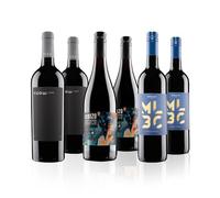 Virgin Wines - Ultimate Red Wine Gift Case - 6 Bottles (75cl) - Premium Reds from Argentina, Spain and South Africa