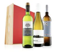 Virgin Wines - White wine trio in wooden gift box
