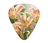 virginGuitar Picks, 12-Piece Pattern Set, Three Different Thicknesses for Acoustic Electric Guitar and Other Instruments