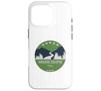 Virginia Creeper Trail Case for iPhone 16 Pro