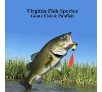 Virginia Game Fish and Panfish Species Kids Book: Great Book About the Different Types of Fish in Virginia
