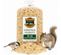 Virginia Peanuts Premium Grade Raw Red Skin Animal Peanuts for Squirrels, Birds, Deer, Pigs and a Wide Variety of Wildlife/Bulk Nuts/Blue Jays/Cardinals/Woodpeckers/Parrots/Doves / 10 lbs