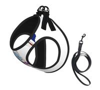 Virginia State Flag Map Print Dog Harness Small Sized And Leash Set, Step In Soft Light Puppy Vest Breathable Mesh Pet Harness