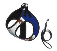 Virginia State Flag Print Dog Harness,Pet Leash Vest,Adjustable And Reflective Vest,For Small To Medium Dogs