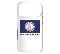 Virginia USA State Flag Souvenir Case for iPhone 17 Pro