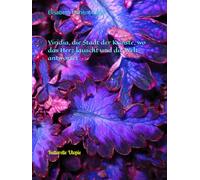 Viridia, die Stadt der Künste, wo das Herz lauscht und die Welt antwortet: Kulturelle Utopie