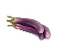 Viridis Hortus - Aubergine, Long Purple - 25 Vegetable Seeds