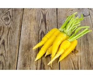 Viridis Hortus - Carrot Yellowstone - 1,000 (1.25g's) Vegetable Seeds