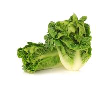 Viridis Hortus - Lettuce Little Gem - 4,000 (4.52g's) Vegetable Seeds (Earliest Variety To Mature - Crisp, Sweet Heart)