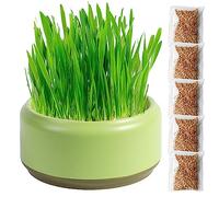 Virtcooy Cat Grass Planter | Cat Grass For Indoor Cats | Cat Grass Seeds | Cat Grass Planter Tray | Cat Grass Box | Cat Grass Growing Kit | Soil Free Cat Snacks For Digestion, Green