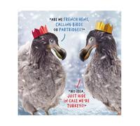Virtual Safari Christmas Card, Dodos in Christmas Hats, 16.3 x 16.3 cms, Multi-Coloured