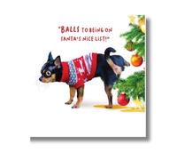 Virtual Safari Christmas Card, Dog Weeing on the Tree, 16.3 x 16.3 cms, Multi-Coloured