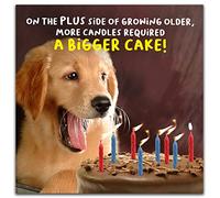 Virtual Safari Funny Birthday Card for Her, Female Birthday Card, On The Plus Side of Growing Older… Multi-Coloured