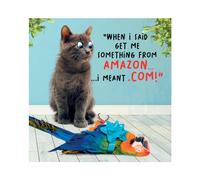 Virtual Safari, Funny Birthday Card for Him, "When I Said Get Me Something from Amazon…" Male Birthday Card, Multi-Coloured