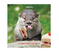 Virtual Safari Unisex Birthday Card for a Friend, Meerkat Eating Cake… Is This Cake Vegan!.. Birthday Card Him/Her, Green