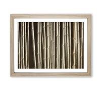 Virtuous Bamboo Forest Framed Print | A4 Oak Framed Wall Art | Ready to Hang | Modern Landscape Picture | Living Room Bedroom Lounge Office