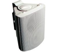 Visaton WB 13 White 5-inch Full-Range Speaker, 100V/8 Ohms, 80W