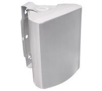 Visaton WB 16 White 6.25" 100V/8-Ohm Full-Range Installation Speaker (90 Watts)