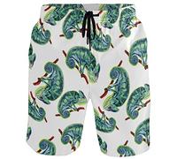 visesunny Modern Men's Beach Shorts Swim Trunks Quick Dry Casual Polyester Swim Shorts, Chameleon, Medium