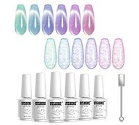 Vishine Cat Eye Holographic Glitter Gel Nail Polish Set Soak Off UV LED Light Starry Sky Effect Magic Gel Nail Polish Kit Manicure Nail Art Kit 6 Colors with Free Magnet 8ml