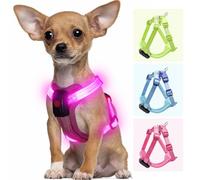 Visiklit Light Up Dog Harness for Small Dogs Rechargeable, LED Dog Vest Harness, Adjustable Illuminated Glow in Dark Dog Harness for Puppy Night Safety Walking 360° True Illumination-Pink