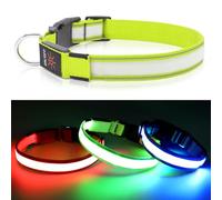 Visinite LED Dog Collar USB Rechargeable, Reflective Light Up Pet Collar for Night Walking, Adjustable Glow Collar for Small Medium Large Dogs (Green, L)