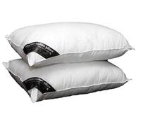 Vision Textiles Luxury 100% Egyptian Cotton Pillows Pack of 2 & 4