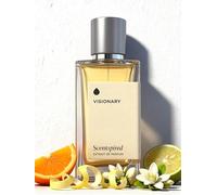 Visionary,Men's Luxury Cologne, Bright Citrus Start and Warm Balanced Base, Long_Lasting Fragrance,1.70 Ounce / 50 ml