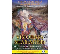 Visionary Shamanism: Activating the Imaginal Cells of the Human Energy Field