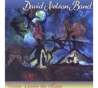 Visions Under the Moon by David Nelson Band