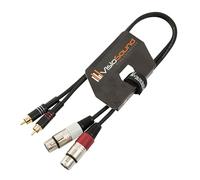 VisioSound 2 x Female XLR to 2 x RCA Gold Phono Plug Twin Lead/Audio Signal Patch Cable 0.5m