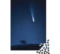 Visitor 1000-Piece Puzzle for Adults, 70x50cm/1000pcs; for A Quiet Evening Project at Home; White Cardboard for Steady Handling