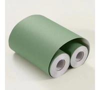 VisitRyl Green Wallpaper Border Self Adhesive Wall Tiles Decorative, Peel and Stick Wall Border Bathroom Stickers Light Green Frosted Finish 10cm X 500cm