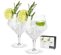 Viski Raye Angled Stemmed Gin and Tonic Glasses Set of 2 - Premium Crystal Clear Cocktail Gin Glasses for Gin Lovers Gift Set - 14oz