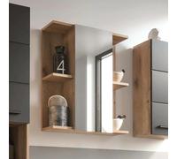 Vista Mirror Cabinet - 1 Door - Oak