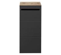 Vista Oak and Black 1 Door Storage Cabinet