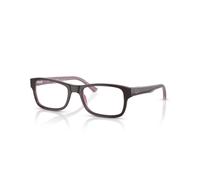 Vista Sunglasses Stylish Modern Design - unisex - Ray-Ban - Glasses - Brown - 50 MM - Accessories 50 MM