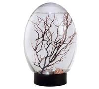 Vistnale desktop aquarium, Mini Aquarium Fish Tank Ecosphere Closed Aquatic Ecosystem with LED Light Desktop Stable Black Base No Need to Feed or Change Water