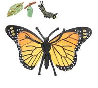 Vistreck Ct Growth Cycle Toy - Model Simulation E Onal Toy for Children (1PC)