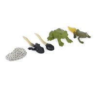 Vistreck Ranidae Growth Cycle Model - Miniature Simulation Animal Toy for Early E on & Home Decoration