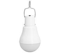 Vistreck Solar Light Bulb - USB Rechargeable White Light LED for Cam, Emergencies, and Home Use with Hook Design
