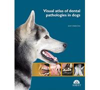 Visual Atlas of Dental Pathologies in Dogs