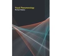 Visual Phenomenology