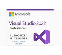 Visual Studio 2022 Professional - Multilanguage for Windows