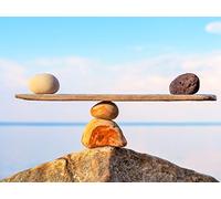 Visualizing Balance Points in Statistics